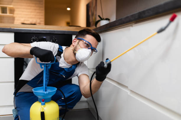 Best Residential Pest Control  in Plumas Lake, CA