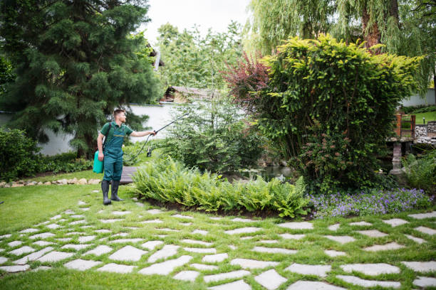 Wasp Removal Services in Plumas Lake, CA