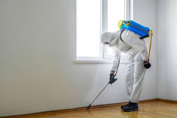 Reliable Plumas Lake, CA Pest Control Solutions