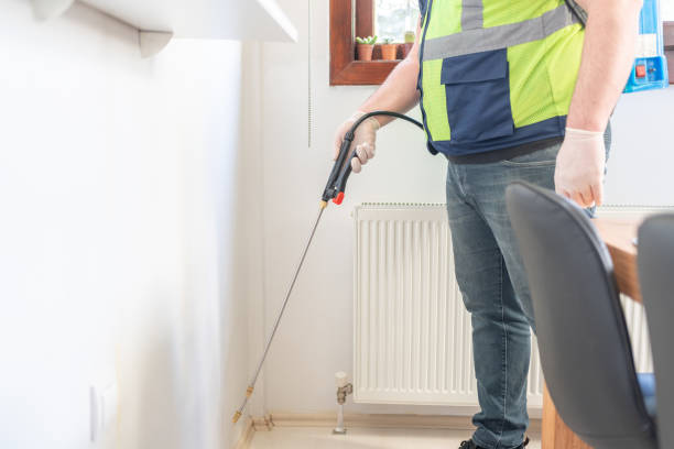 Best Pest Control Near Me in Plumas Lake, CA