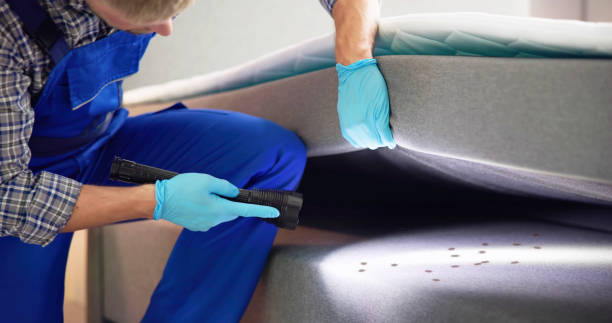 Best Affordable Pest Control Services  in Plumas Lake, CA