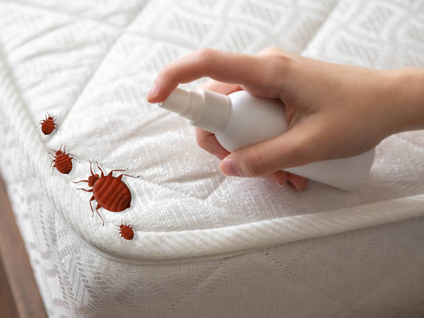 Best Exterminator Services  in Plumas Lake, CA
