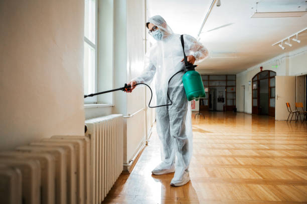 Best Mosquito Control Services  in Plumas Lake, CA